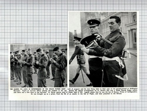 Welsh Guards St David's Day Wellington Barracks  - 1950 News Cutting