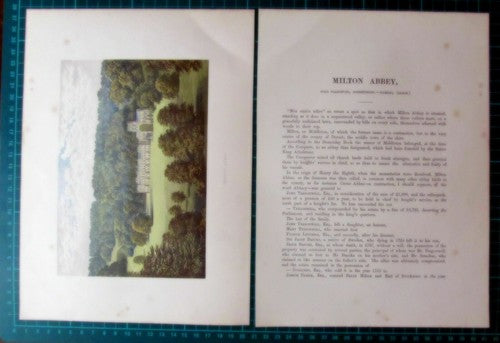 (6215) Milton Abbey Dorset  - c.1880 Print And Article