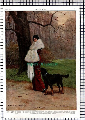 Jean Berne Bellecour Lady & Dog Elliman's Elliman Advert 1914 News Page / Print