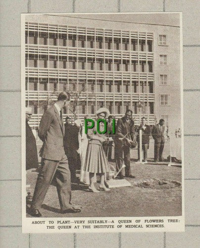(5188) Institute of Medical Science India Queen Planting Tree  - 1961 Clip