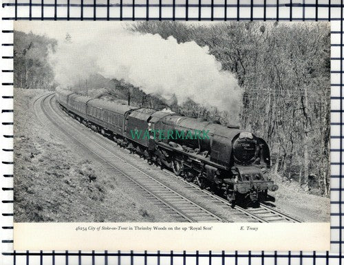 (7350) City Stoke On Trent Railway Locomotive Queen Elizabeth Carlisle - Cutting