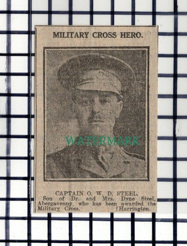 C7183) Captain OWD Steel Dr Dyne Abergavenny WW1  -  1916 SMALL Cutting