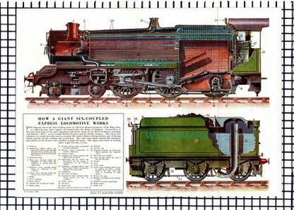 (7625) Six Coupled Express Locomotive / Diesel Electric Diagram- c.1950s Cutting
