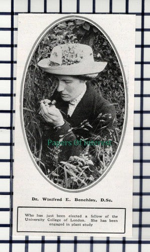 C6062) Dr Winifred E Benchley University Of London Plant Study  - 1914 Cutting