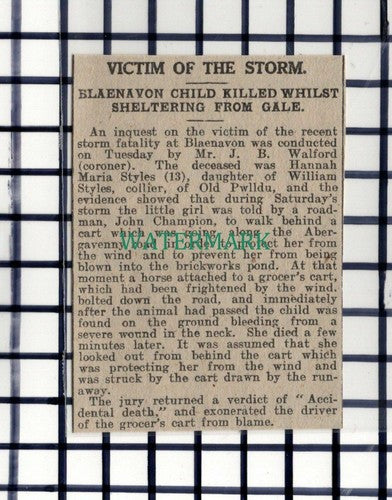 C6980) Hannah Maria Styles Blaenavon William Styles Old Pwlldu - 1916 Cutting