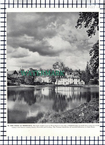 (7737) Midhurst Pond West Sussex  - 1960s Book Print