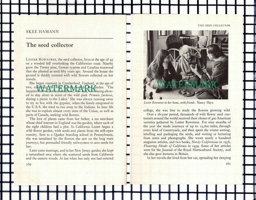 (8287) Lester Rowntree Seed Collector  - 1974 Small Article