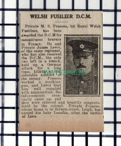 C7210) Pte M S Frances Leigh 1st Royal Welsh Fusiliers Loosilia  - 1916 Cutting