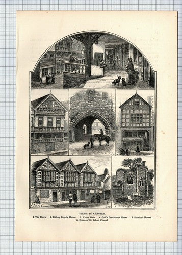 (6413) Chester Views  - 1891 Cutting