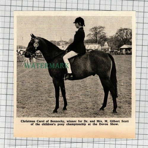 (C130) Christmas Carol of Bennochy Dr Gilbert Scott Devon Horse Show - 1972 Clip