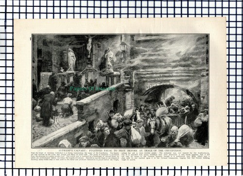 X1362) Antwerp Cathedral Crypt  World War One  c.1918 Book Print