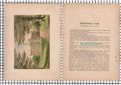 (6709) Thrybergh Park Yorkshire - c.1880 Print & Article  - Marks Are Present!