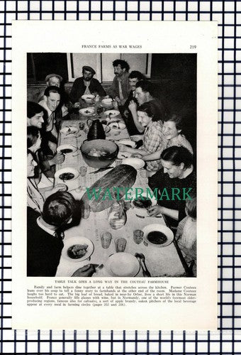 (8040) Le Neubourg Cattle Market  / Couteau Farm France   - 1940 Cutting