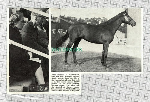 C2349) Lt Col Smyly Anne Duchess of Westminster Newmarket Ribot W.Harder 1968