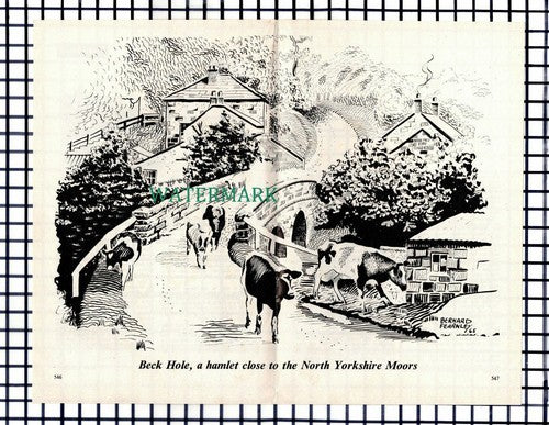 (8405) Beck Hole Bernard Fearnley - 1966 Cutting