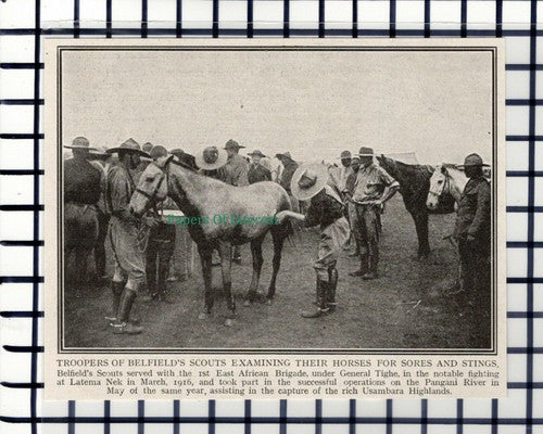 C5802) Belfields's Scouts Horses Latema Nek  - c.1917 Cutting