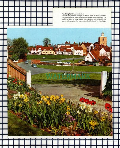 (7056) Finchingfield Essex - 1970s Cutting
