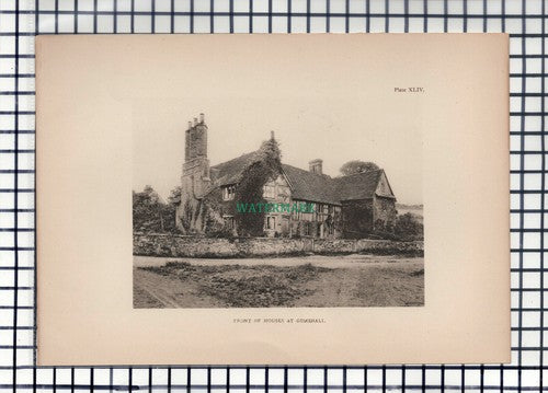 Gomshall Surrey  - c.1908 Print