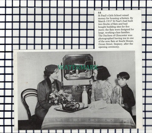 C6935) Searle House Ocean Street Stepney  -  Cutting