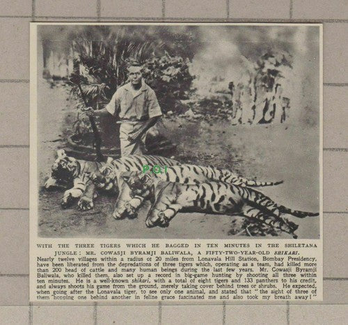 C1852) Mr Cowasji Byramji Baliwala Shiletana Jungle Tigers Lonavala Hill  - 1948