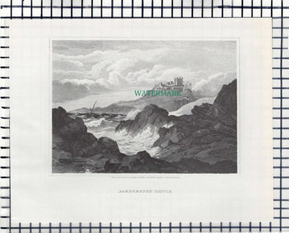 Fern Farne  Islands  / Bamborough Bamburgh Castle - c.1960s Print / Cutting