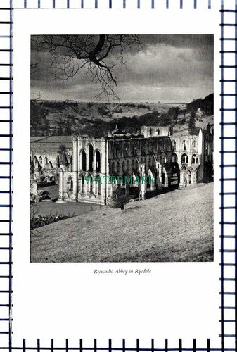 C6489) Rievalux Abbey - 1950s Print / Cutting