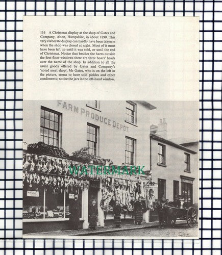 Gates And Company Alton Hampshire - Cutting