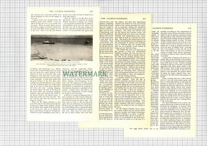 The Salmon Fisheries Columbia River Blumenschein  - 1903 Article