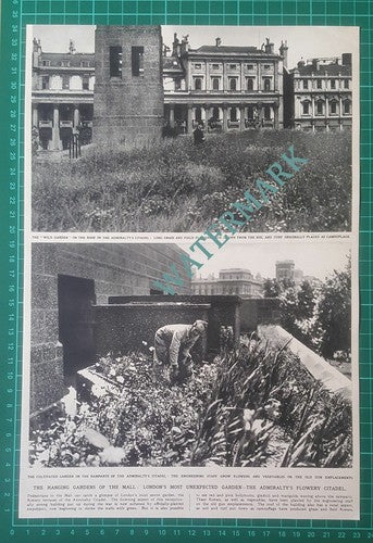 (X288) The Admiralty Citadel Roof Garden London   -  1948 Clip