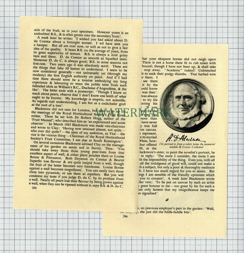 (6807) Richard Doddridge Blackmore Author Sir Arthur Clay  - 1953 SMALL Article