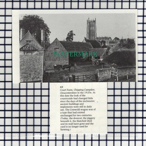 (7594) Court Farm Chipping Campden Gloucestershire  - 1980s Cutting