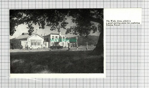 C2821) The Wake Arms Epping Forest - 1964 Clip