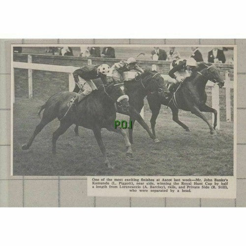 C266) John Banks Kamundu Piggott Private Side R Still Barclay Ascot - 1969