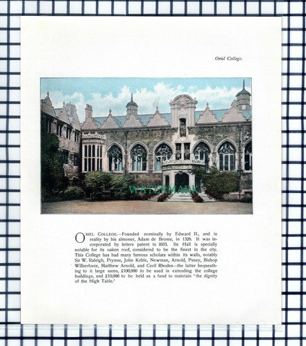 Oriel College Oxford - c.1900 Print / Cutting
