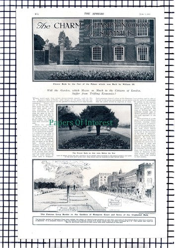 Hampton Court &  BUSHEY Chestnut Avenue  - 1919 Article