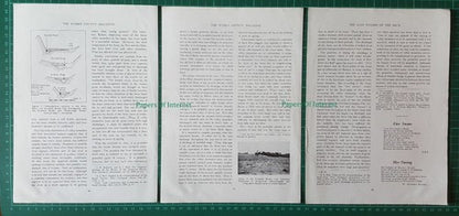 (6780) The River Arun Sussex  - 1954 Article