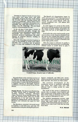 (C68)  A I Artificial Insemination Calthwaite Garry Etheridge - 1980