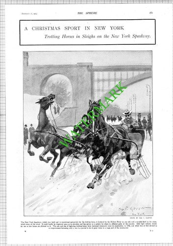 New York Speedway Trotting Horses - 1903 News Page / Print
