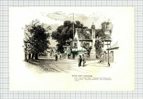 C6316) White Hart Godstone / Farnham Castle - 1901 Print / Cutting