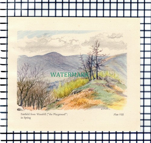 (7320) Fairfield From Wansfell Lake District  -  1946 Cutting / Print