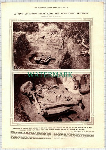 DR HANS RECK Oldoway Man Skeleton East Africa - 1914 Article / Print