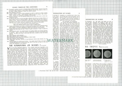 (8668) Foxhounds Of Sussex Burstow Hunt Eastbourne Crawley -1930 Article  (Pt 1)