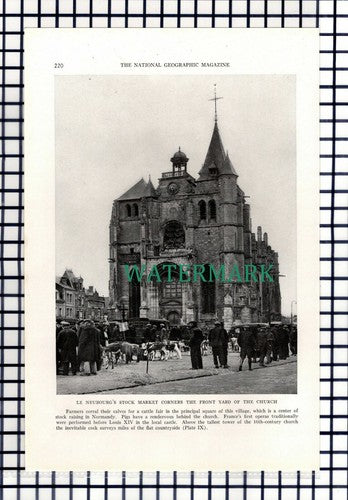 (8040) Le Neubourg Cattle Market  / Couteau Farm France   - 1940 Cutting
