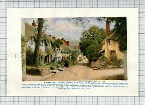 (6810) Thurlestone Devonshire - c.1950s Cutting