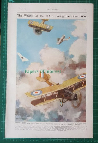 Royal Air Force RAF World War One Fighting Aircraft WIGFULL - 1919 Pullout