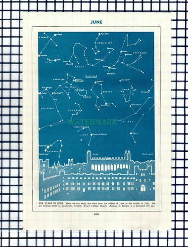 The Stars In June Cambridge Astronomy  - c.1950s Cutting / Print