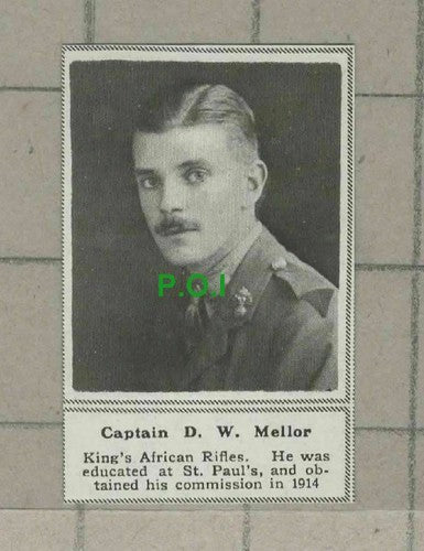 C2461) Captain D W Mellor King's African Rifles - 1918 Clip SMALL!