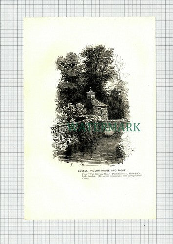 C7596) Loseley Surrey  - 1901 Print / Cutting