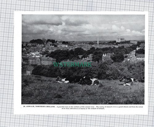 X1967) Armagh Northern Ireland   - 1960s Print / Cutting