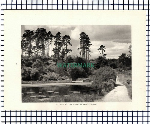 (7455) Friday Street Surrey - 1949 Print / Cutting